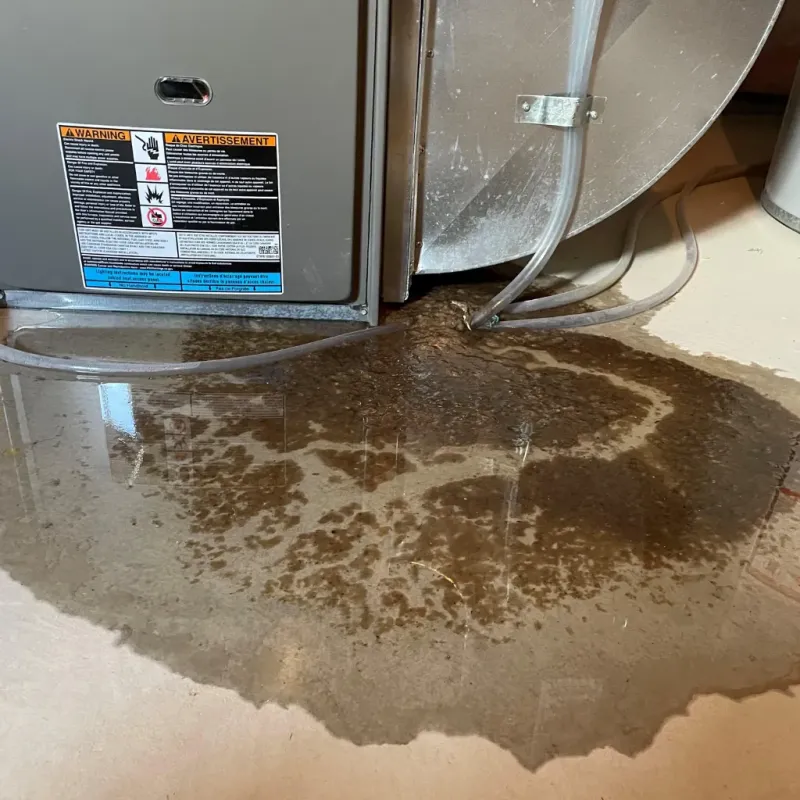 Appliance Leak Cleanup in Sun Valley, NV